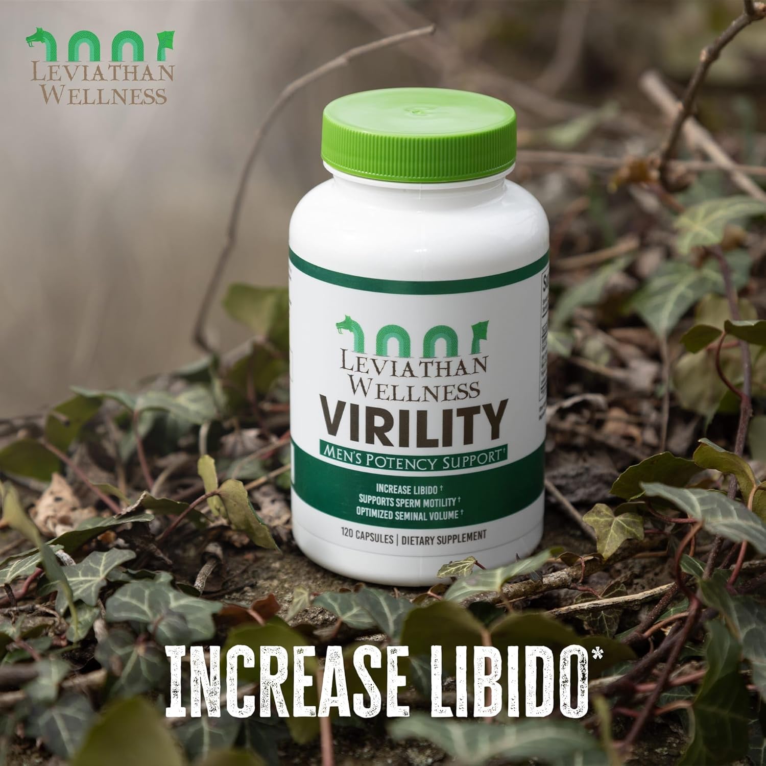 Virility - Men's Potency Support | Zinc (10 mg), Sunflower Lecithin (1200 mg), Celery Extract (1000mg), Maca Root (250 mg) | 120 Capsules, 30 Servings | Made in The USA