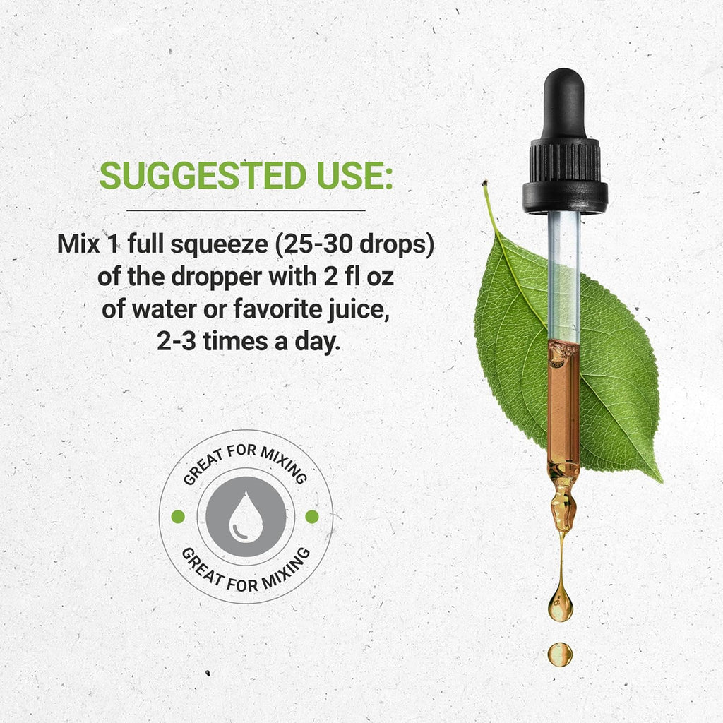 Secrets of the Tribe Andrographis Alcohol-Free Liquid Extract, Andrographis (Fah talai jone, Chuan Xin Lian, Andrographis paniculata) Tincture Supplement (4 FL OZ)