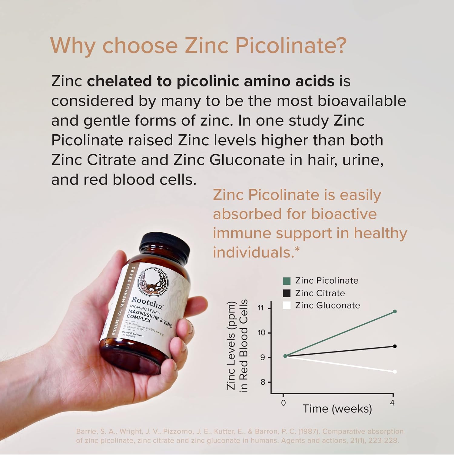 Potent & Pure Magnesium & Zinc Complex - Fully Reacted Magnesium with Chelated Zinc Picolinate - by Rootcha | 120 Capsules