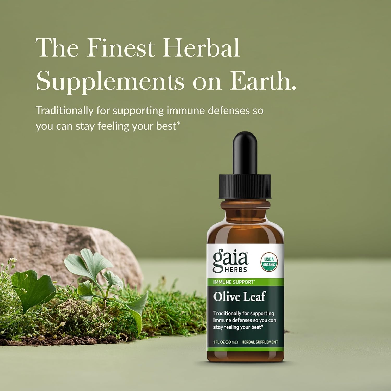 Gaia Herbs Olive Leaf 1 Fl Oz, Liquid Extract