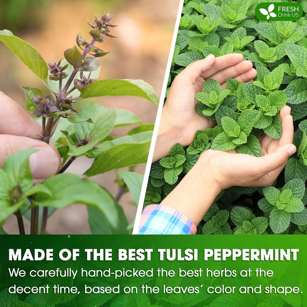 FreshDrinkUS, Premium Tulsi Peppermint Herbal Tea – 55 Tea Bags, 100% Natural, Blend of Tulsi Holy Basil Leaves, and Peppermint Leaves. Made with Natural Material Tea Bags. No Sugar, Vegan.