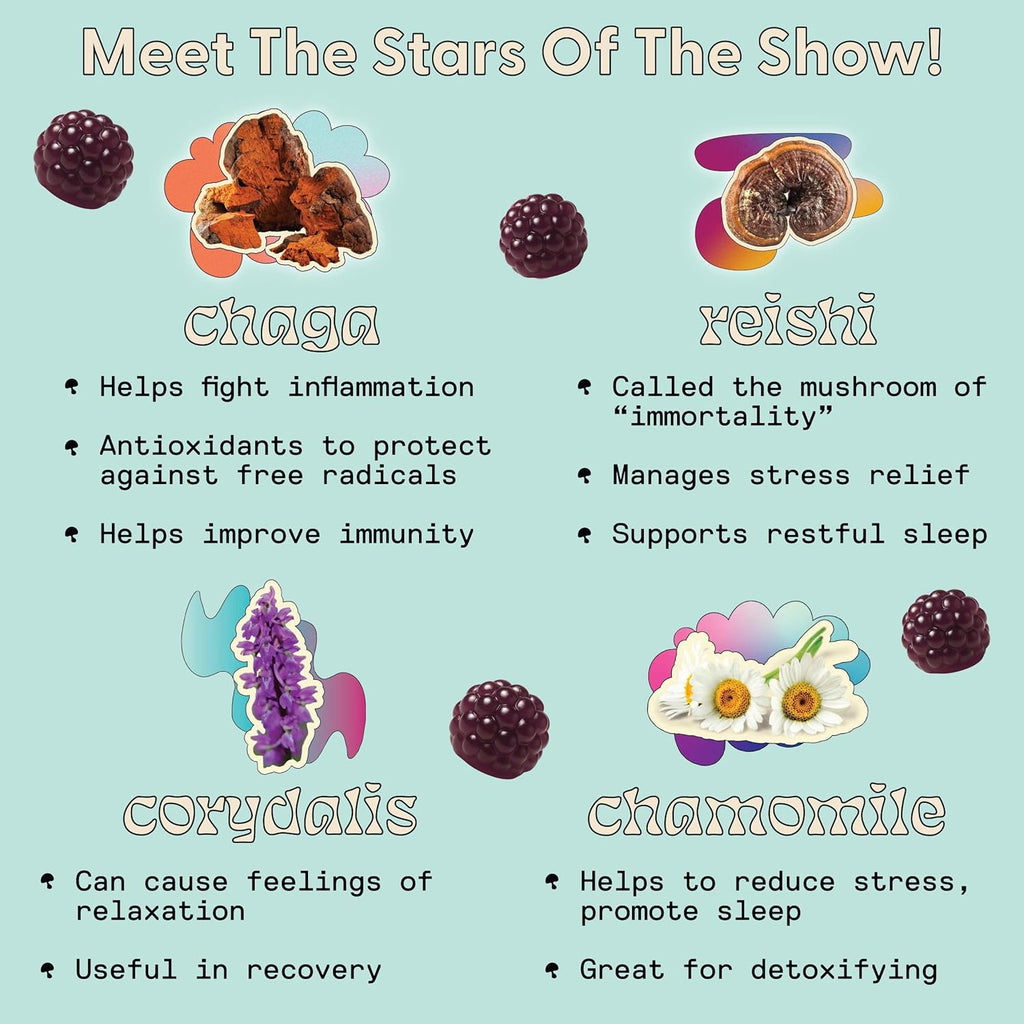 Sleep Gummies for Adults - Mushroom Supplement with Magnesium Citrate, L-Theanine, Chaga, Reishi & Chamomile for Deep Sleep, REM & Detox - Vegan & Sugar-Free - 60 Gummies (30 Servings)