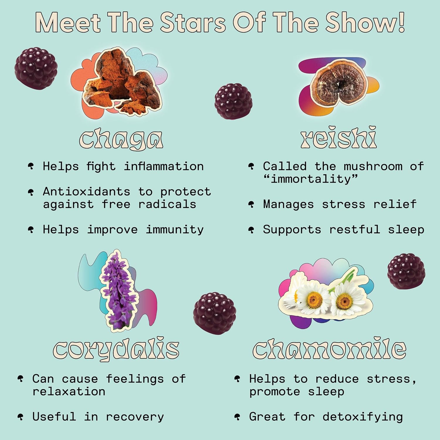 Sleep Gummies for Adults - Mushroom Supplement with Magnesium Citrate, L-Theanine, Chaga, Reishi & Chamomile for Deep Sleep, REM & Detox - Vegan & Sugar-Free - 60 Gummies (30 Servings)