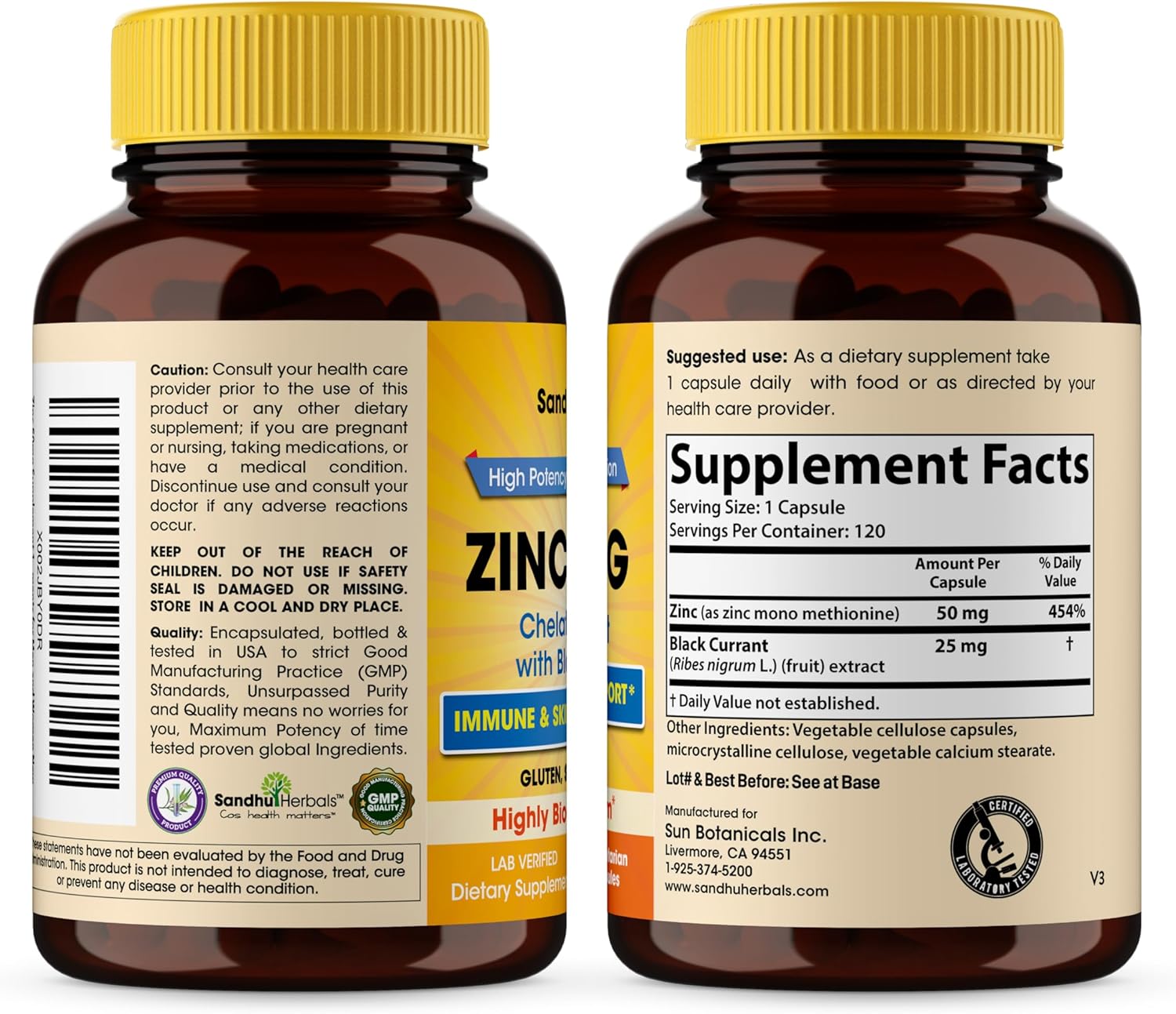 Zinc Supplements for Men and Women | Zinc 50mg with Black Currant 120 Vegetarian Capsules | Highly Absorbable Form for Immune Support | Zink 50 mg Supplement Promotes Skin Health