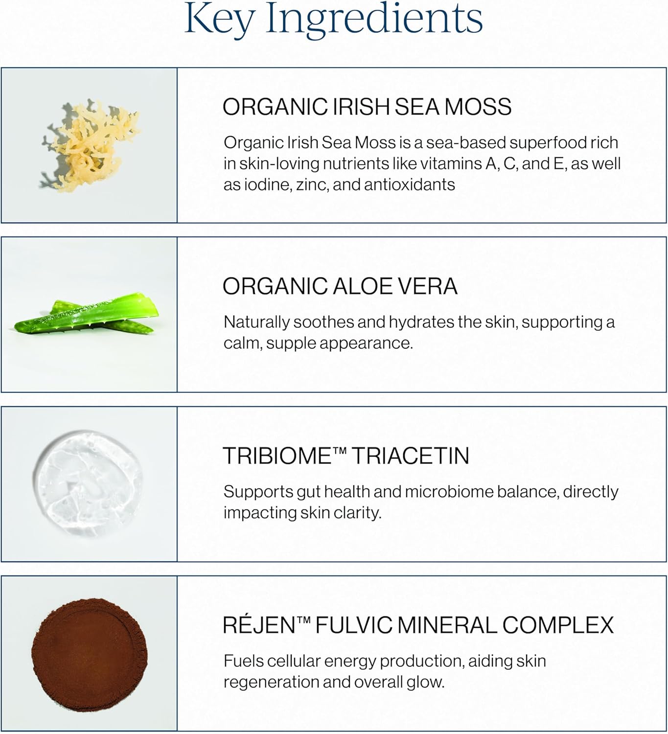 CYMBIOTIKA Irish Sea Moss Supplement, Organic Wildcrafted Sea Moss with Aloe Vera, Fulvic Minerals, Postbiotics, Gut, Immune, Skin Support, Liquid Travel Packet, 26 Servings (Single Pack)
