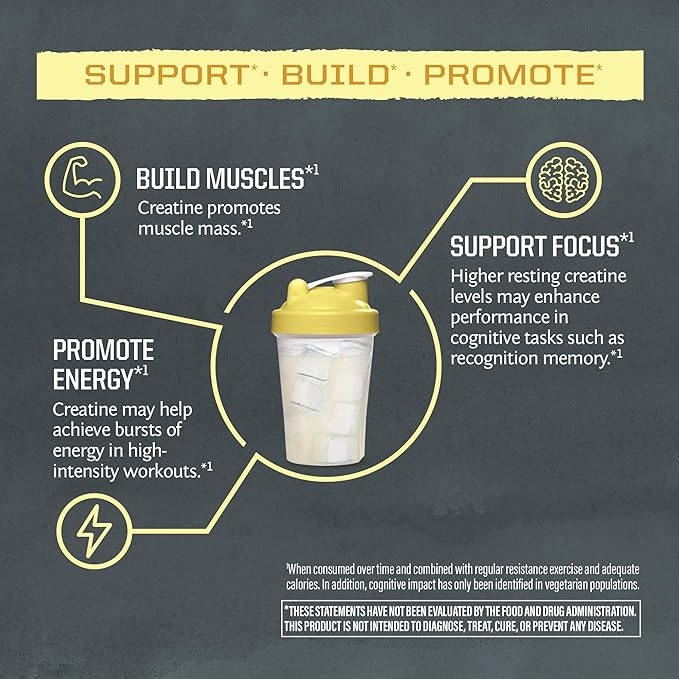SUNWARRIOR Lemonade Active Creatine Stick Pack 30ct, 0.24 OZ