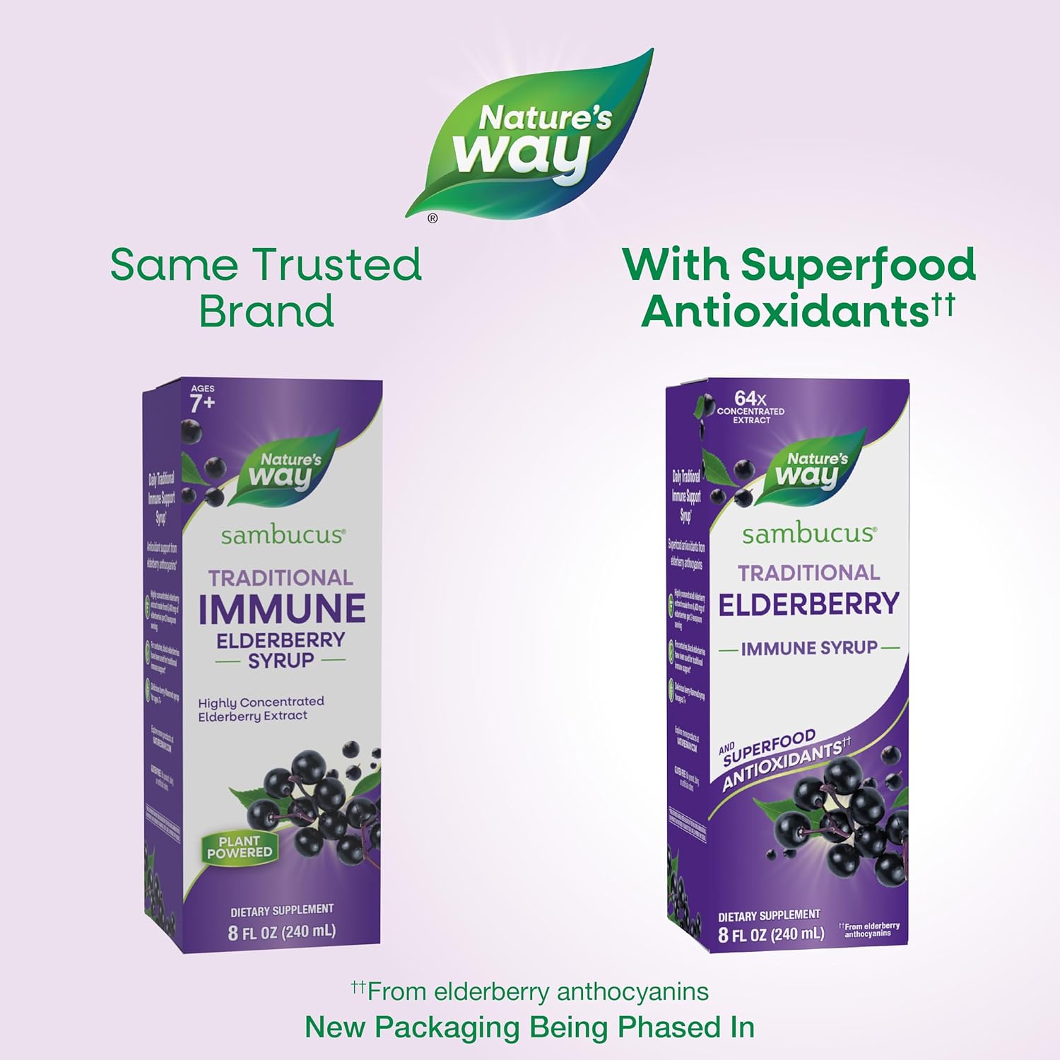Nature’s Way Sambucus Elderberry Traditional Immune Syrup, Highly Concentrated Black Elderberry Extract, Traditional Immune Support*, Delicious Berry Flavored, 8 Fl Oz (Packaging May Vary)