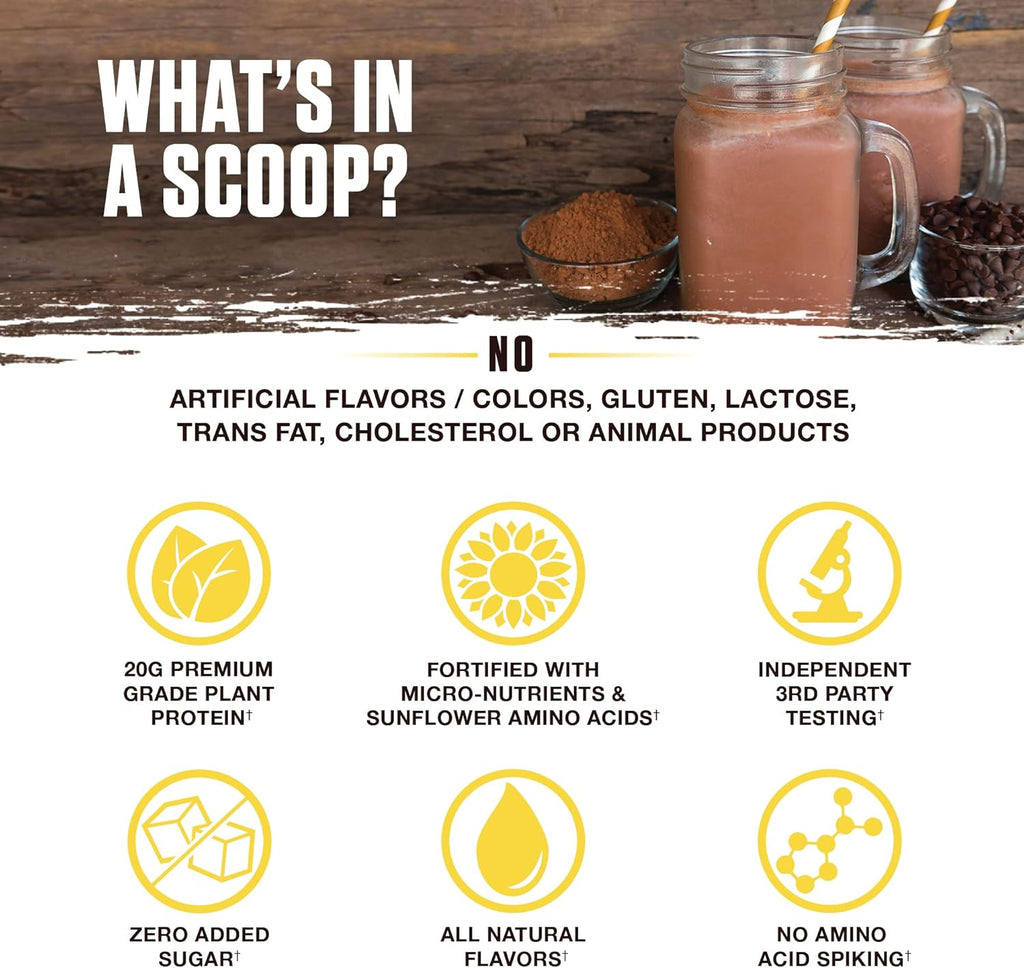 Ambrosia Planta - Premium Organic Plant-Based Protein | Vegan & Keto Friendly | Gourmet Flavors with No Bloating or Stomach Upset | No Added Sugar | 14 Servings | (Melted Chocolate)