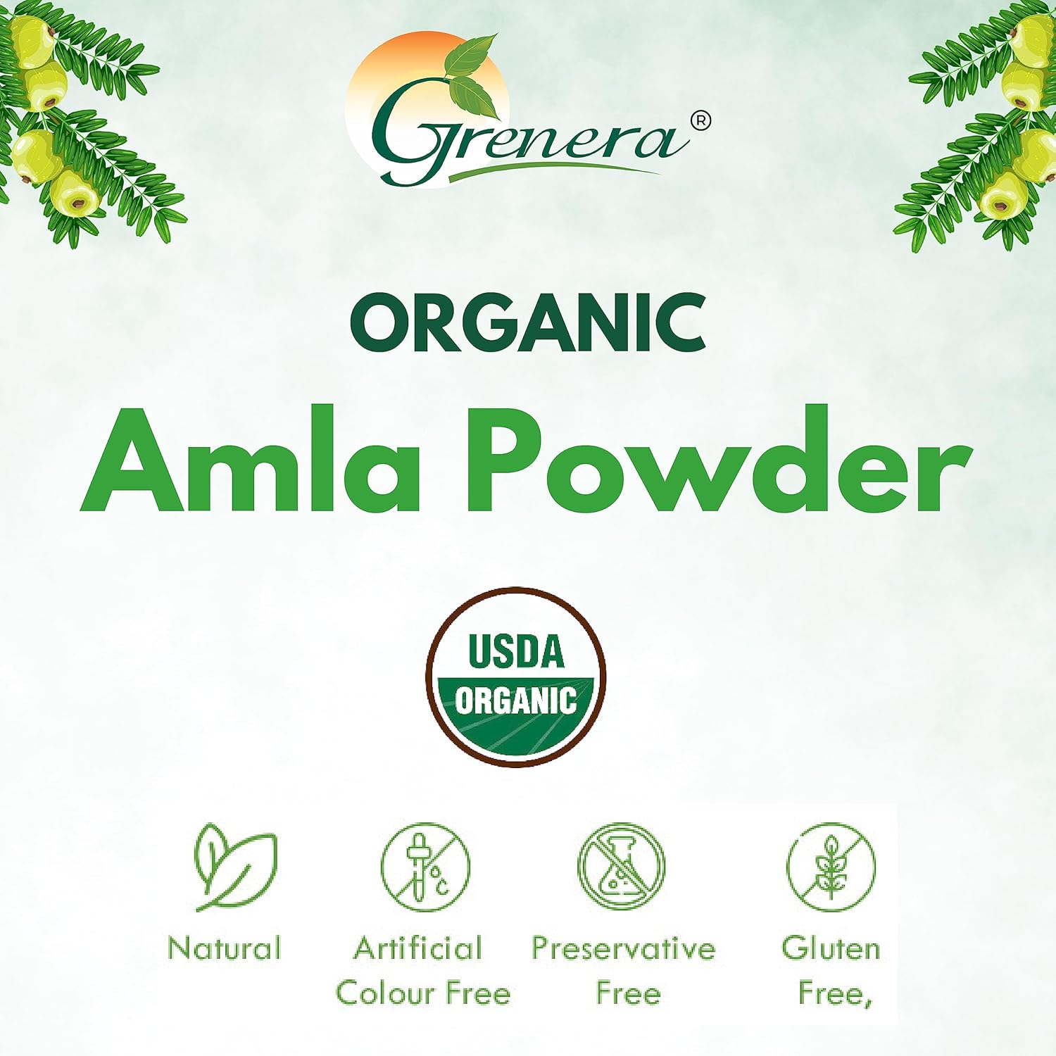 Organic Amla Powder (Amalaki/Indian Gooseberry) - 35.2 Ounce / 2.2 lb - Rich in Vitamin C, USDA Organic, Lab Tested for Purity, Rich in ORAC value