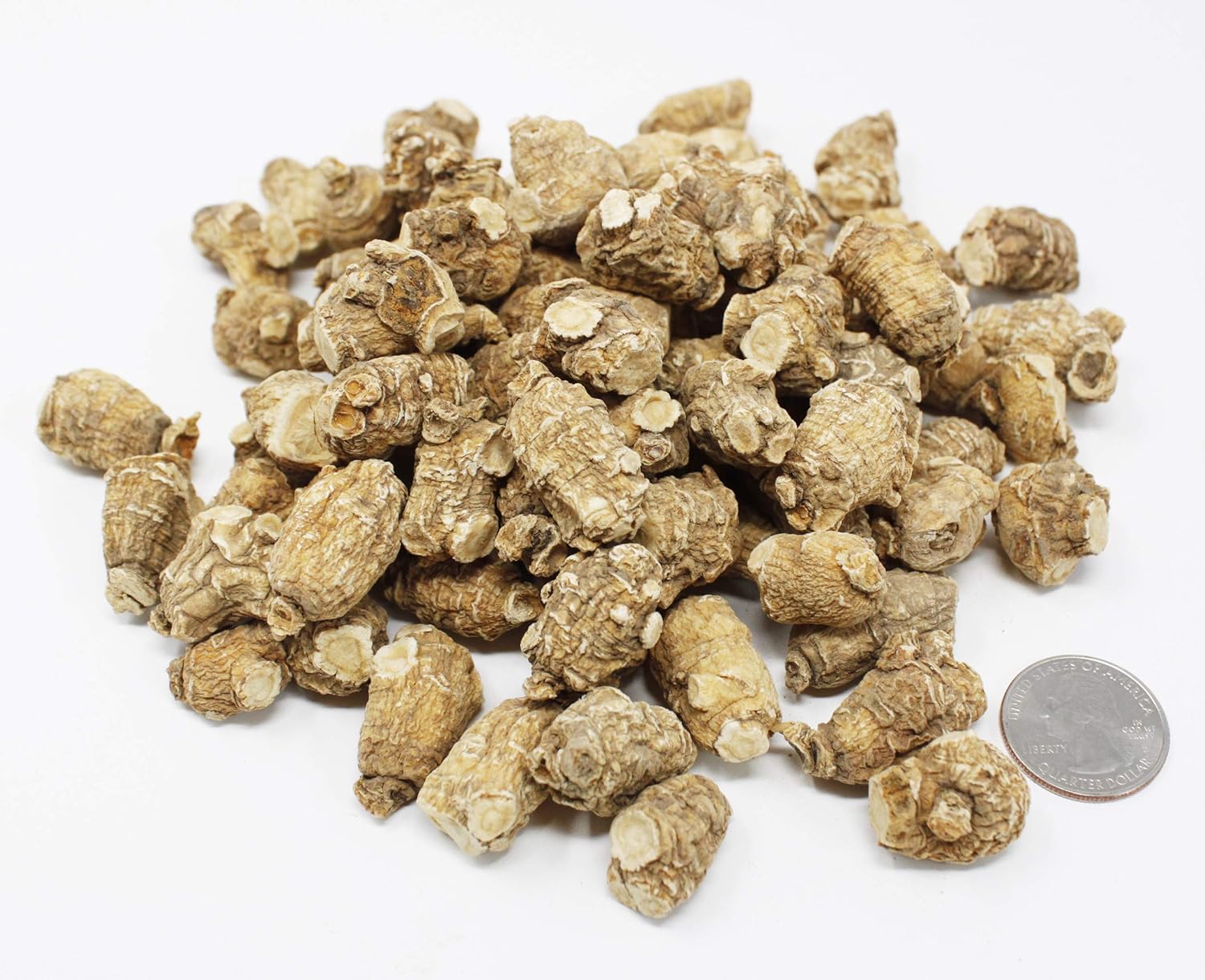 DOL Hand Selected Cultivated Wisconsin American Ginseng Pearl Ginseng 花旗参/西洋参 精选珍珠参 - in Box. (Small 4oz/Box*2)