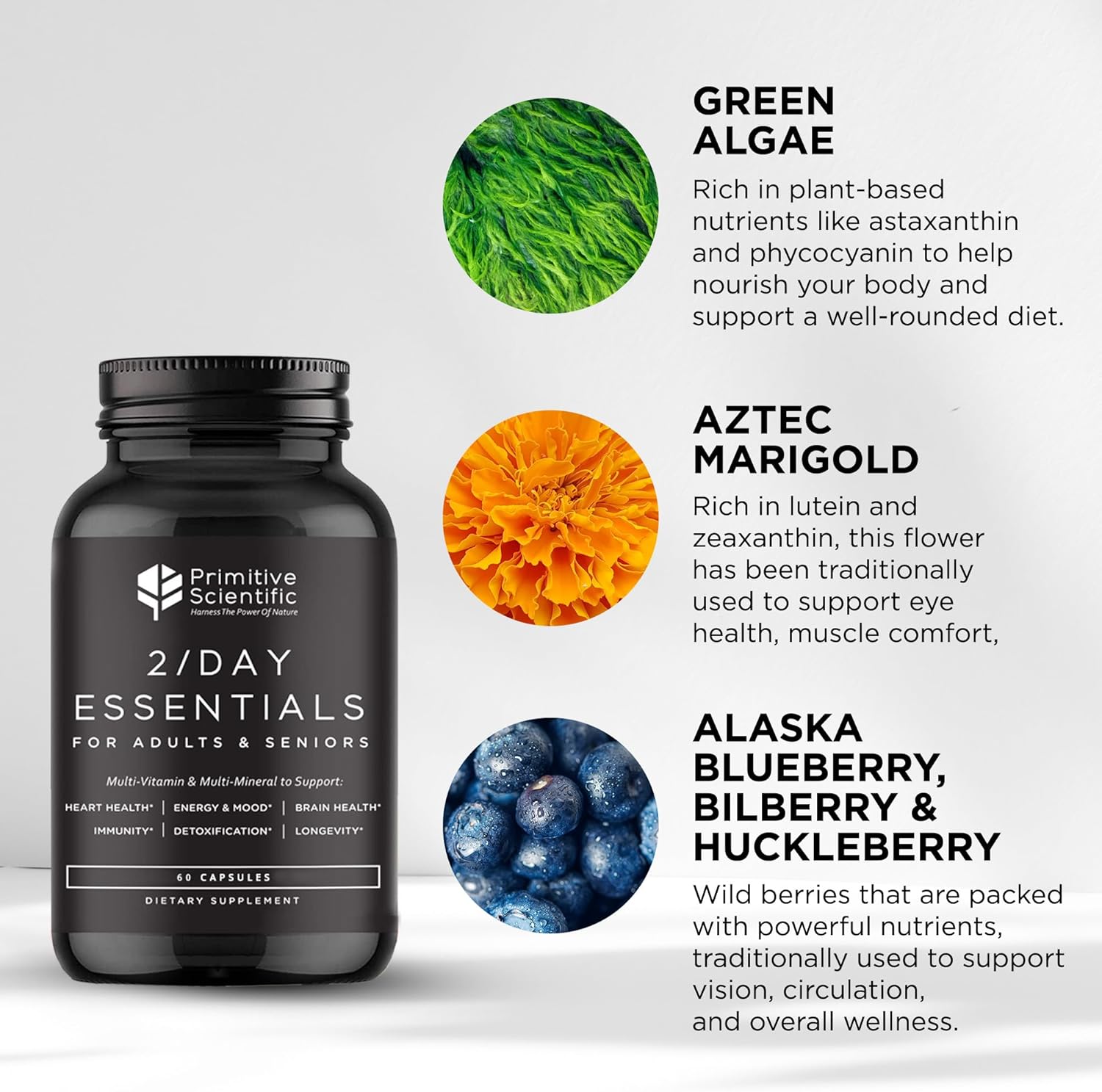 Whole Food Daily Essential Multivitamins for Adults and Seniors - 2X a Day - Vitamin A, C, D, E, B12 and Minerals - Natural and Holistic Support (60 Capsules)