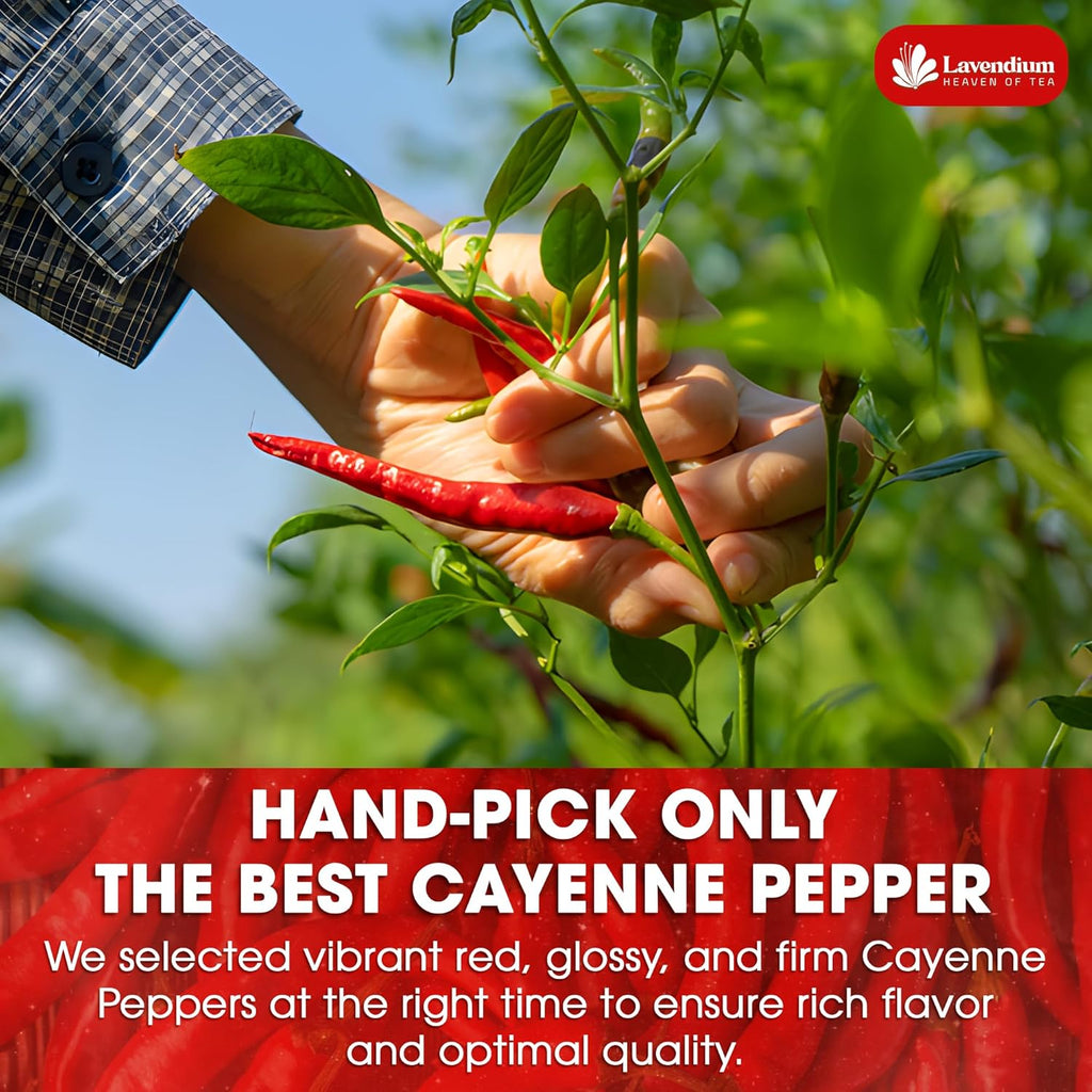 Lavendium, Premium 1.56 lbs Cayenne Pepper Powder– Pure Ground Red Pepper, Bold and Spicy Flavor