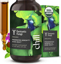 Reishi Mushroom Extract Drops Fantastic Fungi Chill Elixir, 4-in-1 Mood Support Supplement w/ Holy Basil & Shiitake Mushrooms for Relaxation & Calm | 100% Organic & Natural | 30 Servings, 1 fl oz