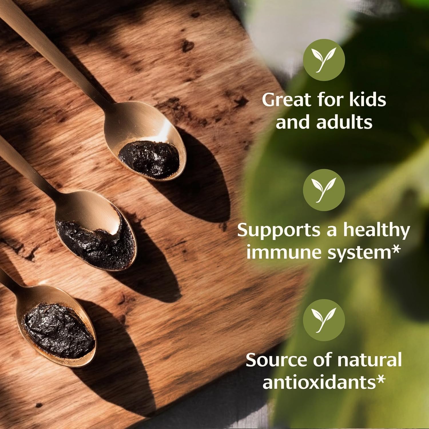 Banyan Botanicals Chyavanprash – Organic Ayurvedic Herbal Jam with Raw Honey, Amla & Ashwagandha – Vitalizing Superfood Immune Support Supplement* – 9.4 oz – Non GMO Sustainably Sourced Gluten Free