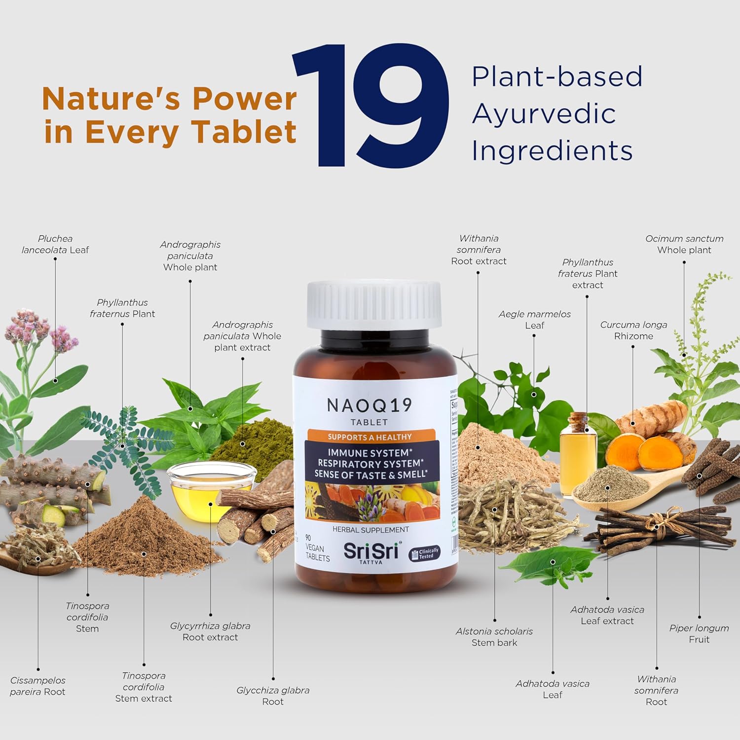 SRI SRI TATTVA NAOQ19 Immunity Support – Ayurvedic Herbal Supplement with Ashwagandha, Turmeric, Licorice, Tulsi, Andrographis – Respiratory & Adrenal Support – 19 Herbs & Adaptogens – 90 Capsules