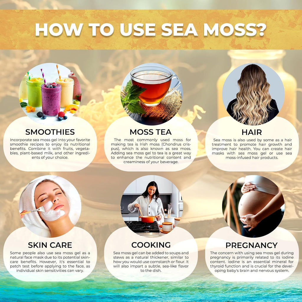 Irish Sea Moss Gel Raw - Wildcrafted Superfood Seamoss Gel - Original Flavor, Vitamin and Mineral-Rich from Pristine Caribbean Waters, Immune and Digestive Health Support - 10 oz.