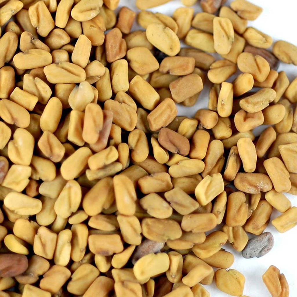 Organic Fenugreek Sprouting Seeds - Seeds for Planting, Hydroponics, Growing Sprouts, Grinding for Spices & More (1 Lb)