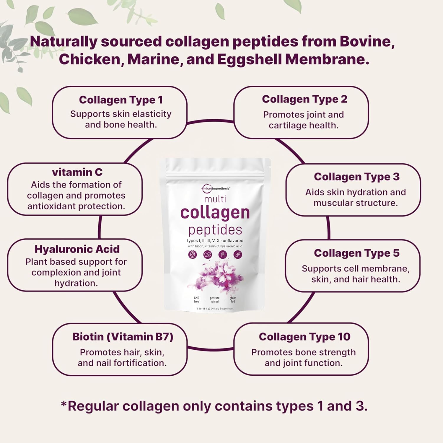 Micro Ingredients Multi Collagen Peptides Powder, 16oz | Type I, II, III, V, X + Biotin, Vitamin C & Hyaluronic Acid | Unflavored | Supports Hair, Skin & Joint Health | Keto, Non-GMO