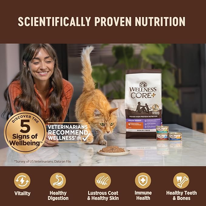 Wellness CORE+ Skin & Coat Pate Adult Wet Cat Food, Natural, Protein-Rich, Grain Free, 2.8 Ounce, 12 Pack (Salmon & Sardine)