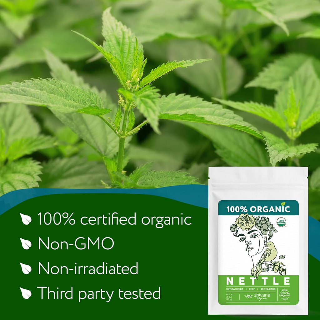 Nettle Tea Organic (40 Tea Bags) - Stinging Nettle Leaf TeaBags – Ortiga Tea for Optimal Health, Immune Support, Kidney - Te de Ortiga Organico Natural