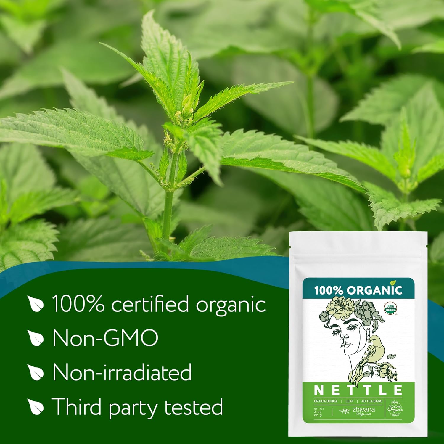 Nettle Tea Organic (40 Tea Bags) - Stinging Nettle Leaf TeaBags – Ortiga Tea for Optimal Health, Immune Support, Kidney - Te de Ortiga Organico Natural