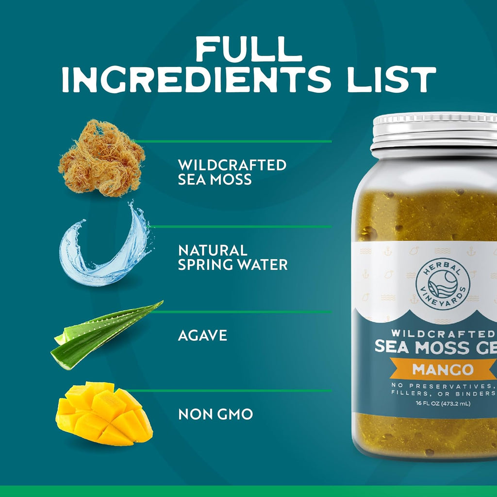 Herbal Vineyards Wildcrafted Irish Mango Sea Moss Gel 16 Oz - Organic Seamoss Gel Made with Dried Seaweed & Fresh Sea Vegetables, Natural & Plant-Based, Harvested in Pristine Waters, USA