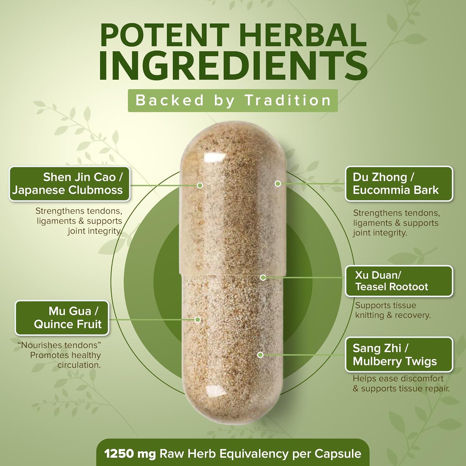 Certified Organic Tendon Mending Pills: Tendon and Ligament Regeneration and Repair. Chronic or Acute by Dimmak Herbs - 100 Caps 500mg