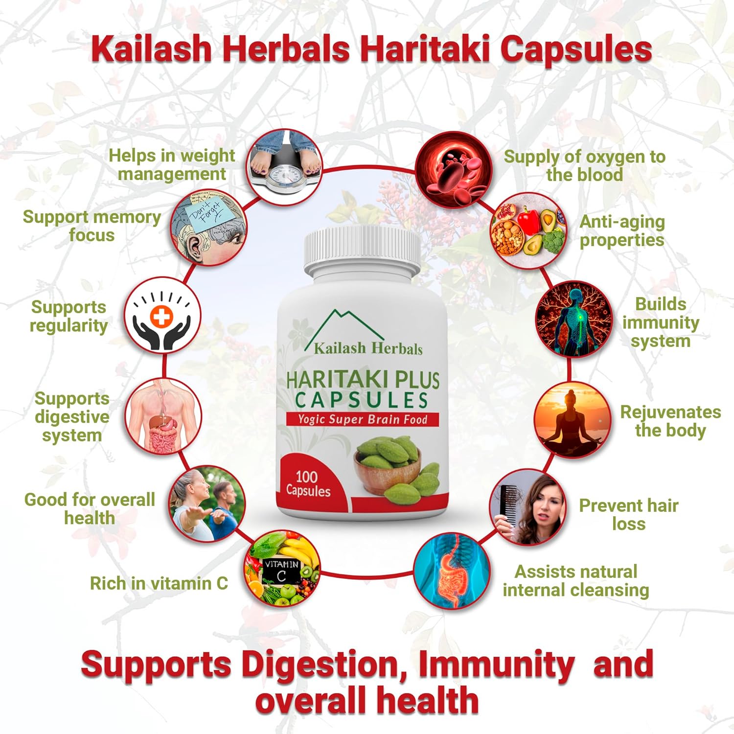 Organic Haritaki Capsules - Improves Digestion - Detoxification & Rejuvenation – Maintains Regularity - Brain Function- 100 Capsules Terminalia chebula | Vegan, Non-GMO