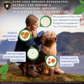 Japanese Knotweed Premium Resveratrol USDA Organic 3rd Party Tested Tincture 120ml/4oz - 1:3 Clinical Strength Ratio - Tick Wellness Aid and Immune Support Supplement - Made in The USA