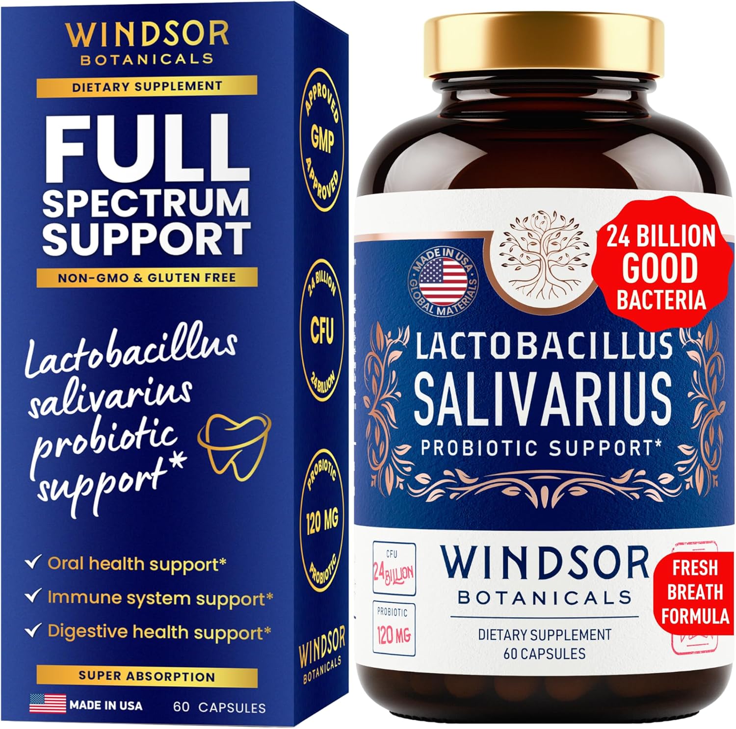 Lactobacillus Salivarius Probiotic - 24bn CFU L Salivarius Dental Probiotics for Teeth and Gums - Bad Breath Treatment for Adults, Immune Support, Digestive Health - 60 Oral Probiotic Capsules