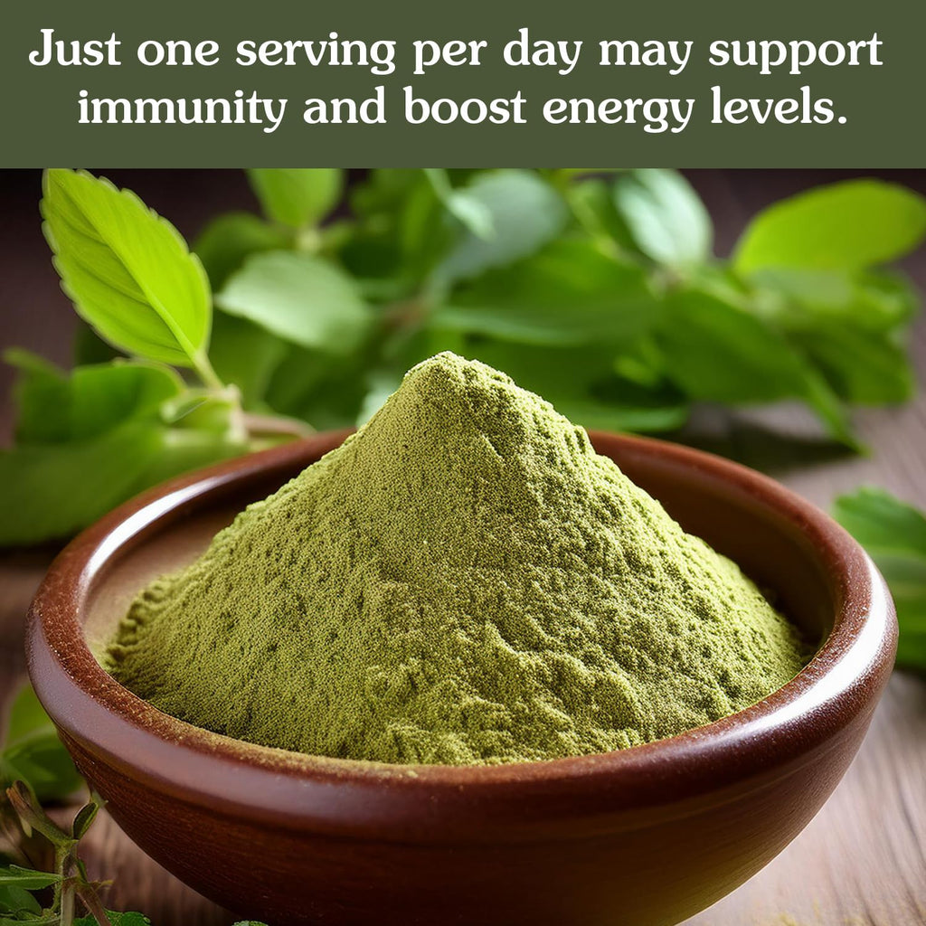 Ancient Roots Tulsi Powder - 100% Pure & Natural, Non-GMO, Gluten-Free, Finely Ground Holy Basil for Teas, Smoothies, and Recipes, 10.5 oz Resealable Bag