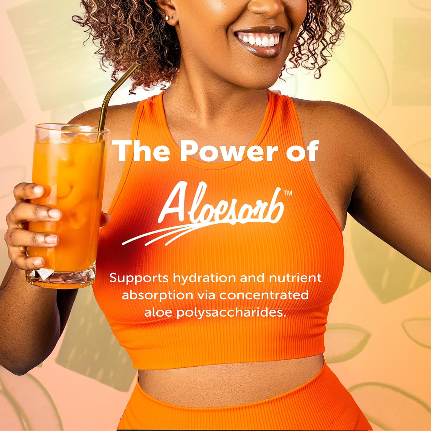 Eco Drink Nutrient Support Packets, Fruit Punch – Naturally Sweetened Multivitamin Electrolyte Mix with Aloe, 24 Stick Packs/Box, 0.25 Oz Ea by Lily of The Desert