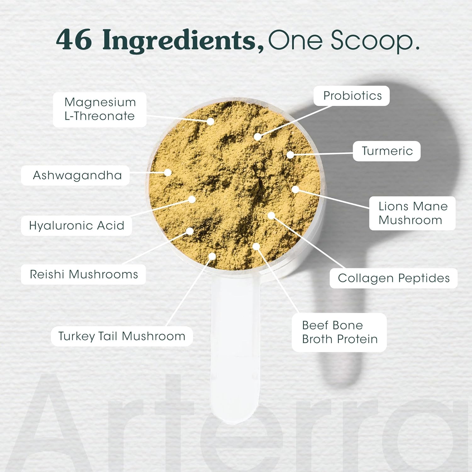 Adult Dog Powder Supplement & Food Topper – 46 Ingredients for Gut, Immune & Brain Health – Daily Longevity Multivitamin for Whole Body Wellness | 120 Scoops