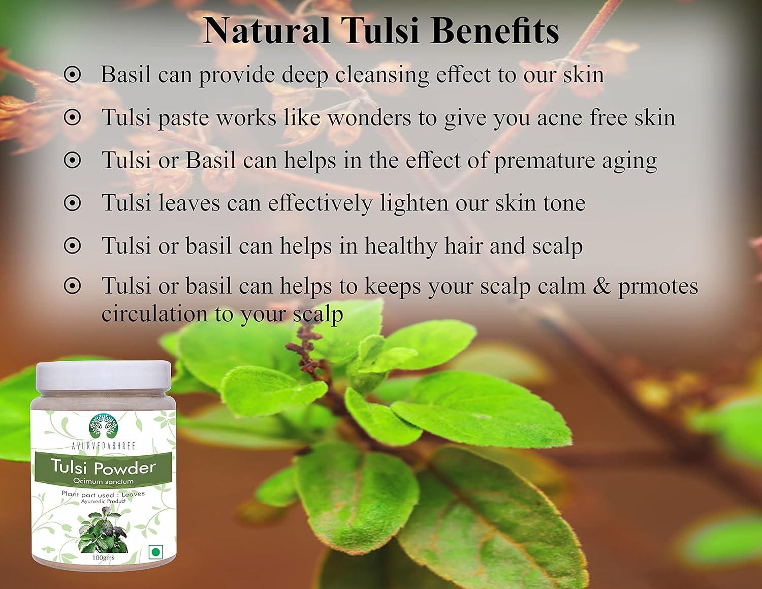 Tulsi Powder Holy Basil Powder 100 Gm | Ocimum Sanctum | Tulsi Leaves Powder | Tulsi Leaf | Vegan | Non GMO | Gluten Free
