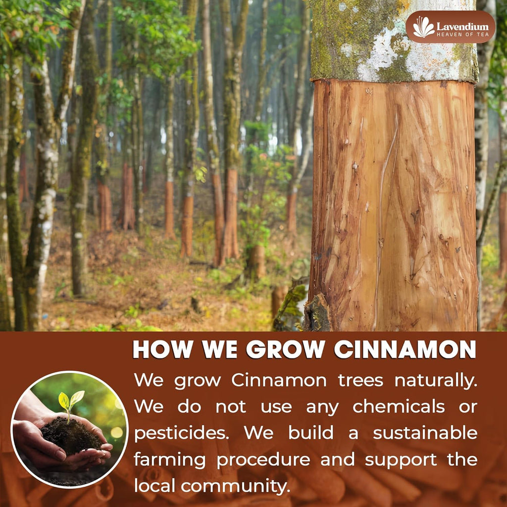 Lavendium Premium 20oz Cinnamon Powder, 100% Natural & Pure, Ground Cinnamon Bark, No Additives, No Gluten, Vegan