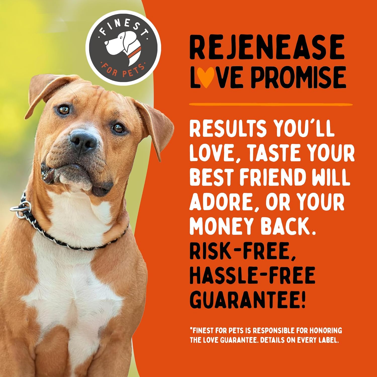 Rejenease Liquid Glucosamine for Dogs with Chondroitin, MSM & Hyaluronic Acid – Finest For Pets Hip & Joint Supplement for Dog Joint Support, Mobility, Stiffness & Pain Relief (32 oz, Made in USA)