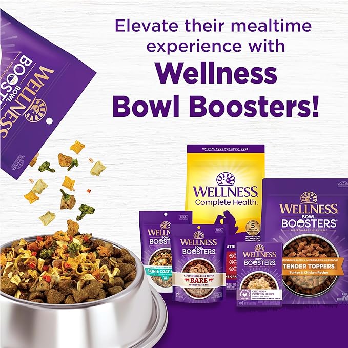 Wellness Complete Health Dry Dog Food, Wholesome Grains, Natural, Chicken & Oatmeal Recipe, (15-Pound Bag)