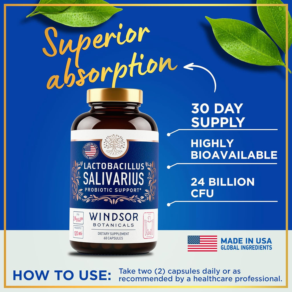 WINDSOR BOTANICALS Lactobacillus Salivarius Probiotic Capsules - L Salivarius Probiotic Oral Dental Probiotics for Bad Breath, Teeth and Gums Health and Immune Support - 24bn CFU, 2-Pack 120 Caps