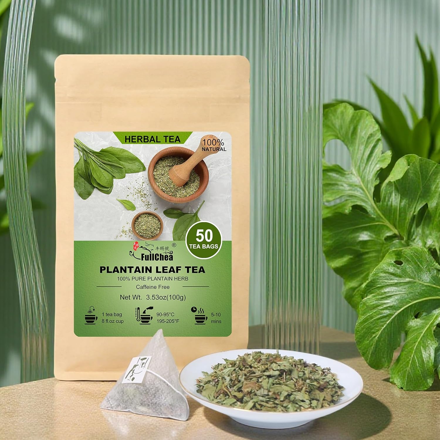 FullChea - Plantain Leaf Tea, 50 Teabags, 2g/bag - Whole Plantain Leaves - Plantago Major Herbal Tea - Non-GMO - Caffeine-free - Support Respiratory Health & Boost Immunity