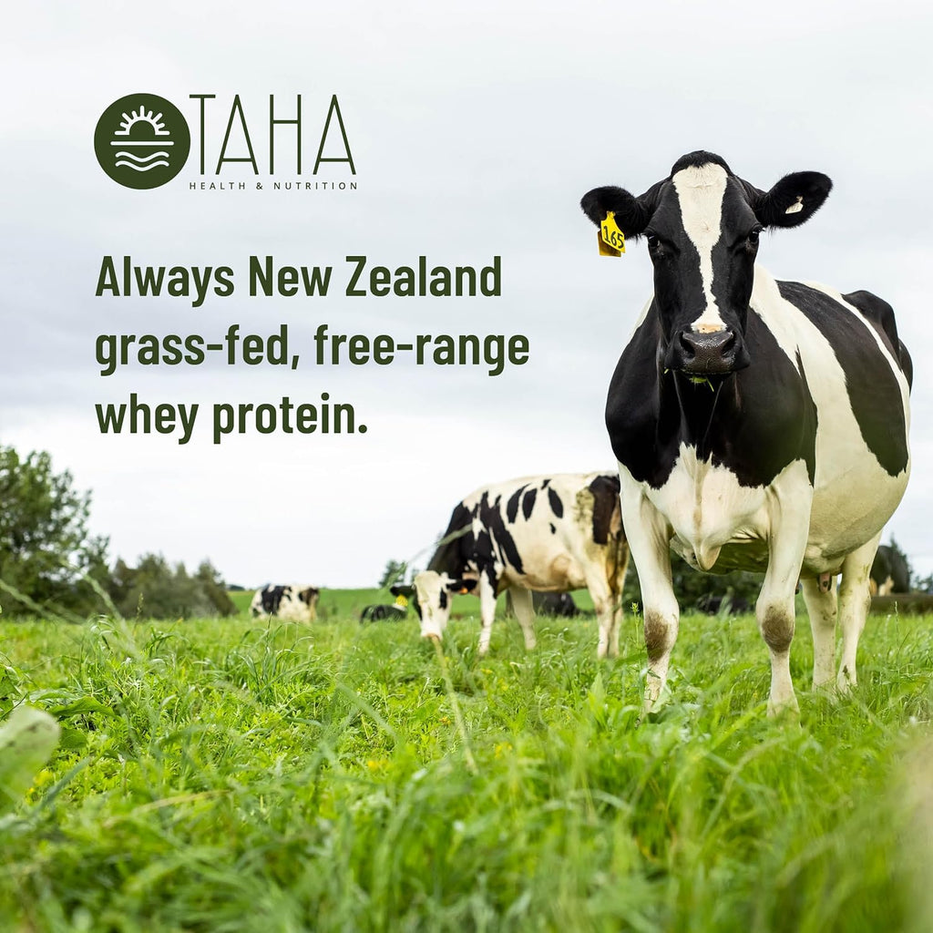 Taha Health & Nutrition Mind + Body Protein Blend – German Chocolate | 25g Protein from Whey & Collagen + 400mg Milk Phospholipids | Grass-Fed, Free-Range New Zealand Dairy | 2LB