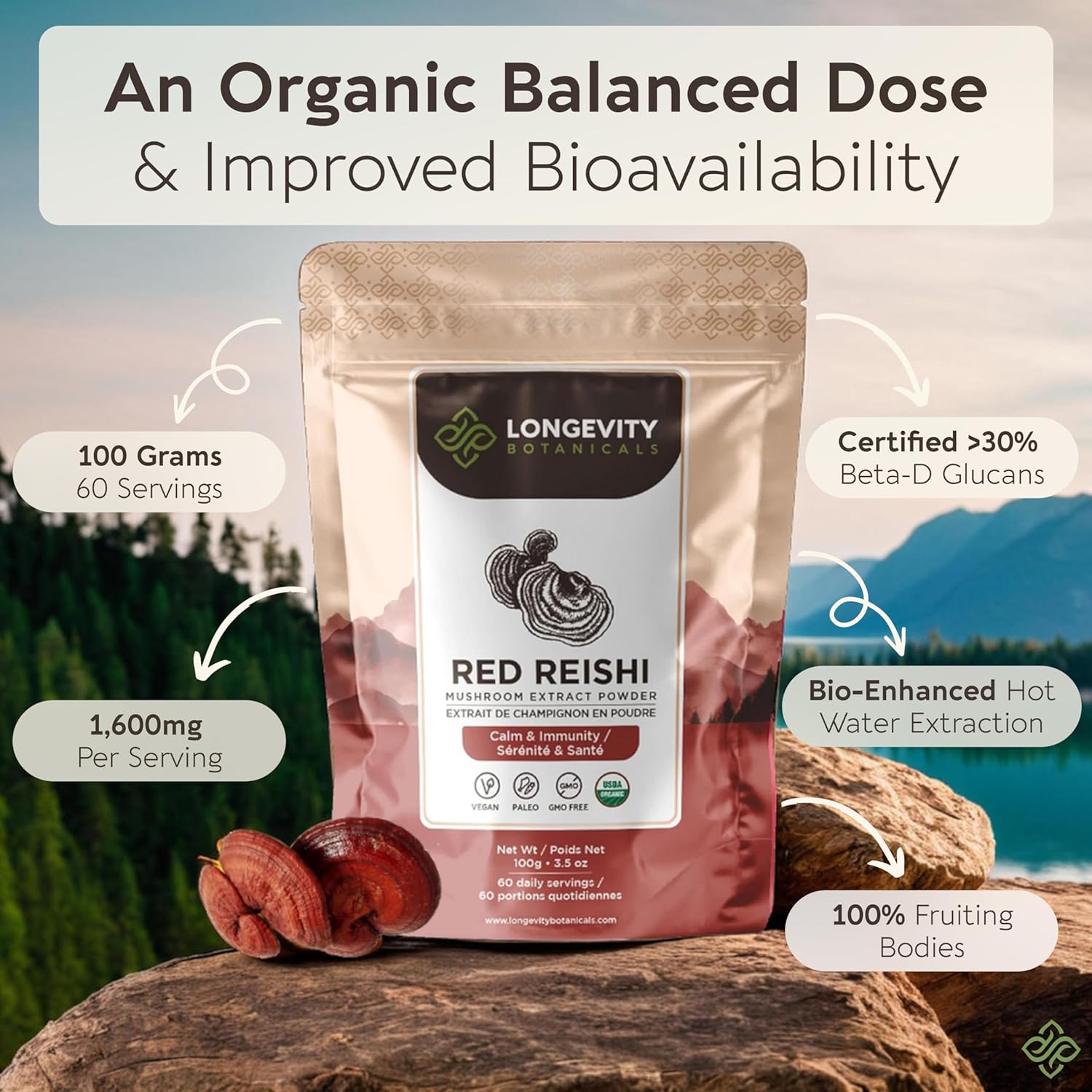 Longevity Botanicals Organic Reishi Mushroom Extract Powder 100g | Concentrated 10:1 Ratio | 100% Fruiting Bodies | Lingzhi (Ganoderma lucidum) Natural Supplement for Immune, Stress & Sleep Support