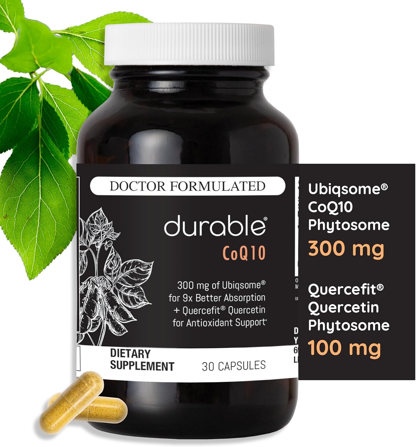 Durable CoQ10 – 300 mg Ubiqsome® CoQ10 Phytosome with 9X Better Absorption, One Per Day Antioxidant for Heart Health, Doctor-Formulated, Made in USA - 30 Day Supply (30 Capsules).