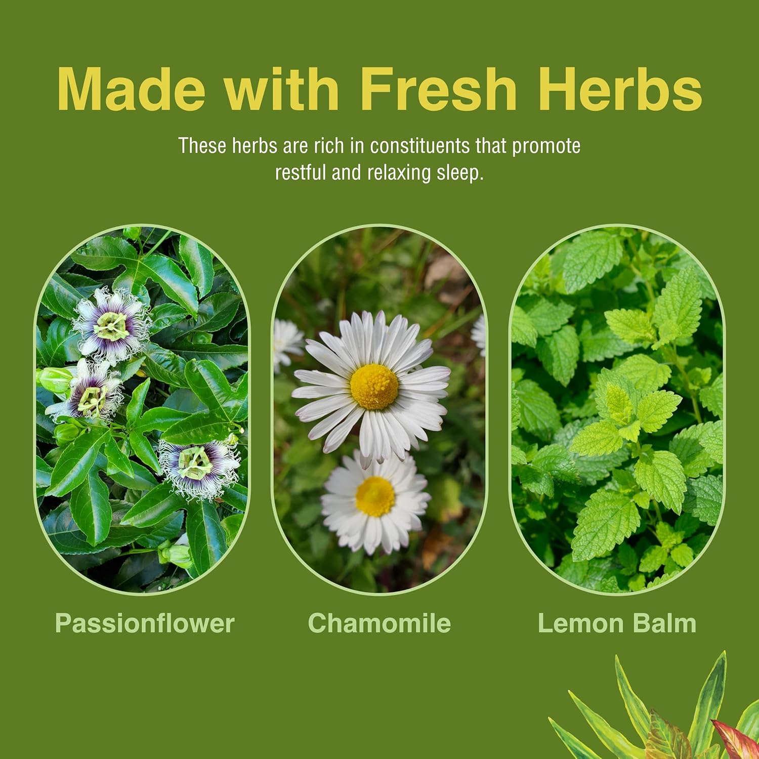Herbs Etc. Deep Sleep Softgels - Herbal Sleep Support Supplement - Rest & Calming Support with Passionflower, Chamomile & Lemon Balm - 120 Softgels (120 Servings) - 2 Pack