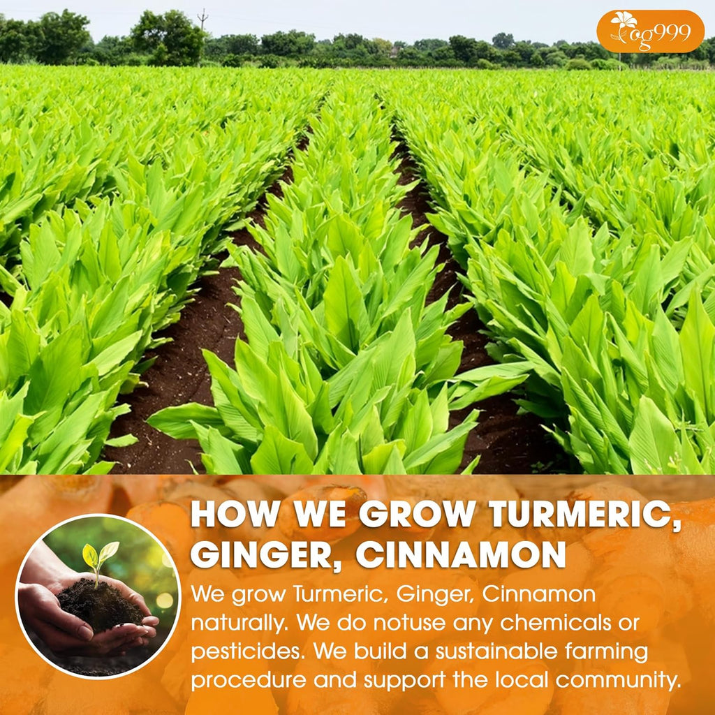 TOG999, Premium 12oz/200 cups Ginger Turmeric Cinnamon Loose Leaf Herbal Tea. Improve Digestion, Support Brain, Weight, Skin and Sleep. Premium Quality Spiced Blend. No Sugar, No Caffeine, No Gluten, Vegan.