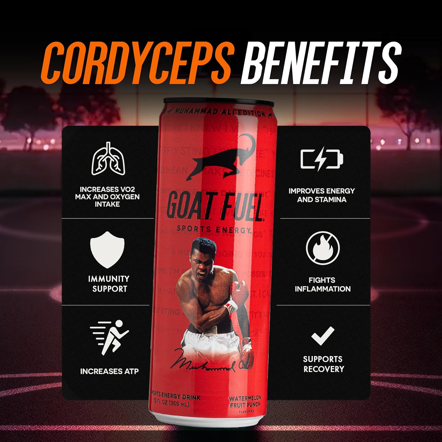 G.O.A.T. Fuel Energy Drink, Co-Founded by Jerry Rice, Natural Caffeine, Electrolytes, BCAAs, Cordyceps & Antioxidants, Light Carbonation Pre Workout, 12 Pack, 12 FL Oz, Watermelon Fruit Punch