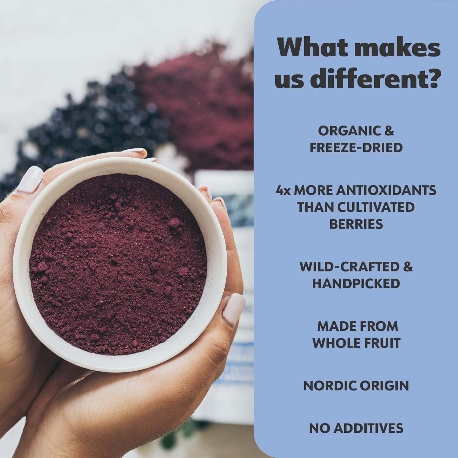 LOOV Organic Wild Blueberry Powder - 15-Day Supply, 3.2 Oz, Good for Smoothie & Breakfast, Freeze-Dried, from Northern Europe, No Added Sugar
