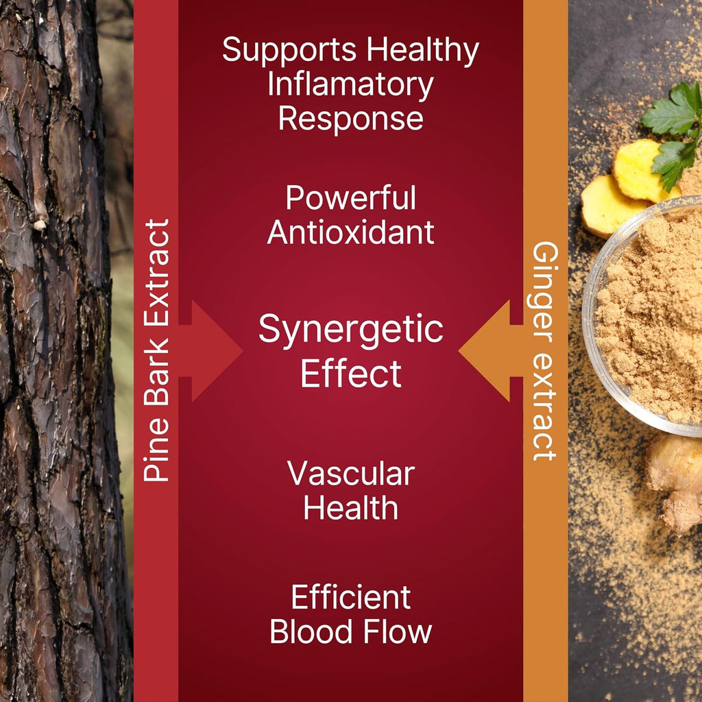 Pycnogenol 100mg & Ginger Extract | Supports Healthy Circulation, Vein Health & Leg Comfort | Helps with Occasional Swelling in Legs & Feet | Long-Haul Travel Essentials | 30 Vegan Caps