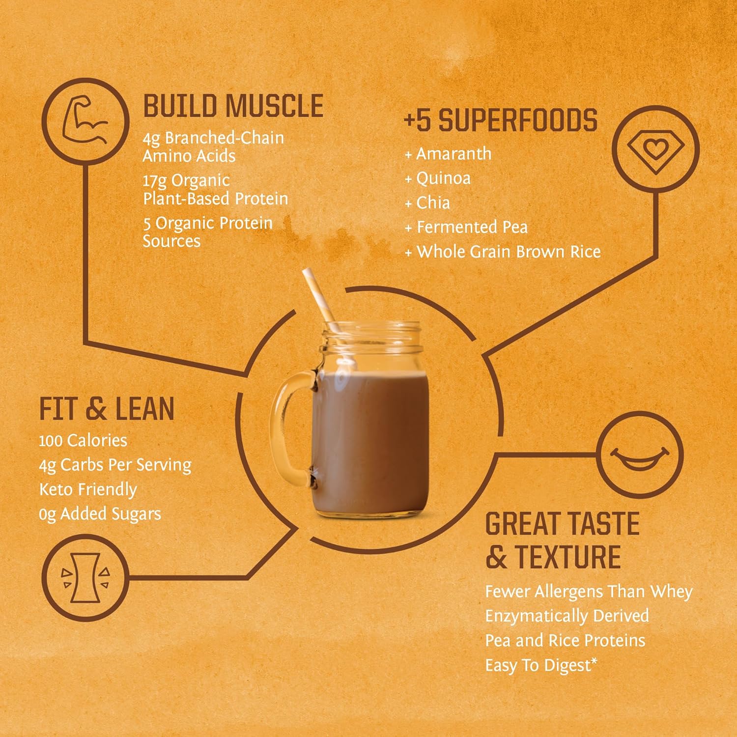 Clean Vegan Protein Powder Chocolate | Organic Protein Powder Plant Based Formula with 5 Superfood Blend Sprouted & Fermented | Non-GMO Low Carb Soy Dairy & Gluten Free (Chocolate, 30 Servings)