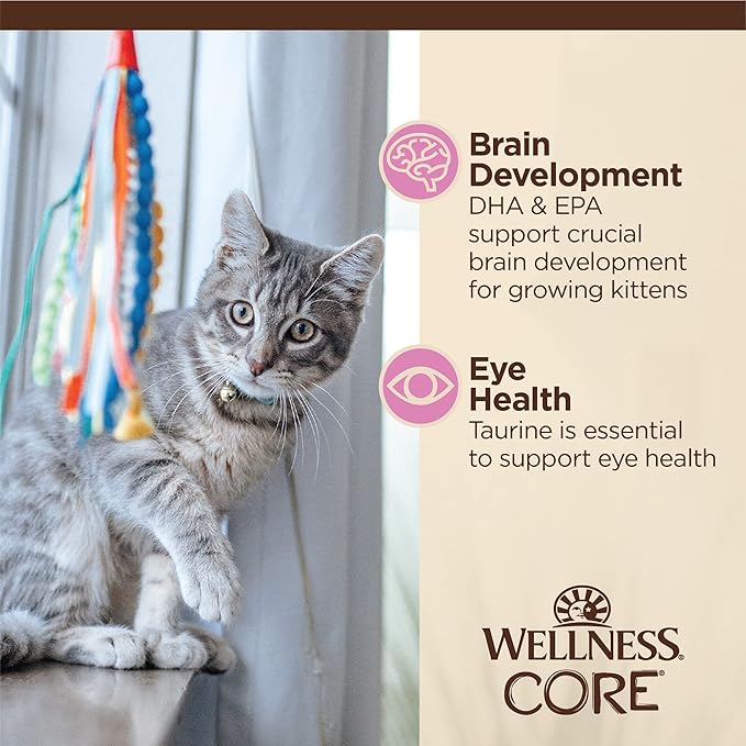 Wellness CORE Tiny Tasters Minced Kitten Wet Cat Food, Natural, Protein-Rich, Grain Free, 1.75-Ounce Pouch, 12 Pack, (Chicken)