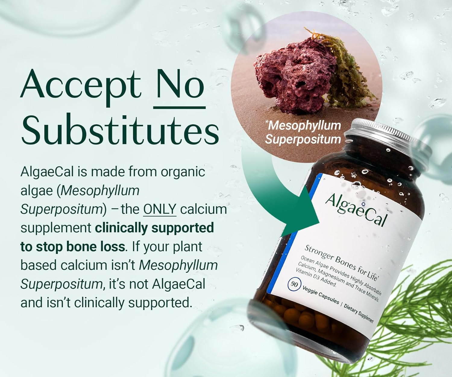 ALGAECAL - Plant Based Calcium Supplement with Vitamin D3 (1000 IU) for Bone Strength, Contains 13 Minerals Supporting Bone Health, Organic Calcium (750 mg) for Women & Men, 90 Caps, 3 Month Supply